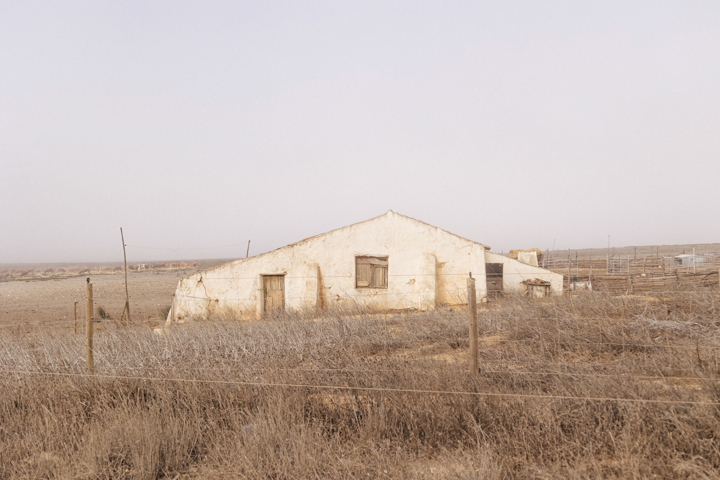 European Far West photograph 3, Nicola Calaprice