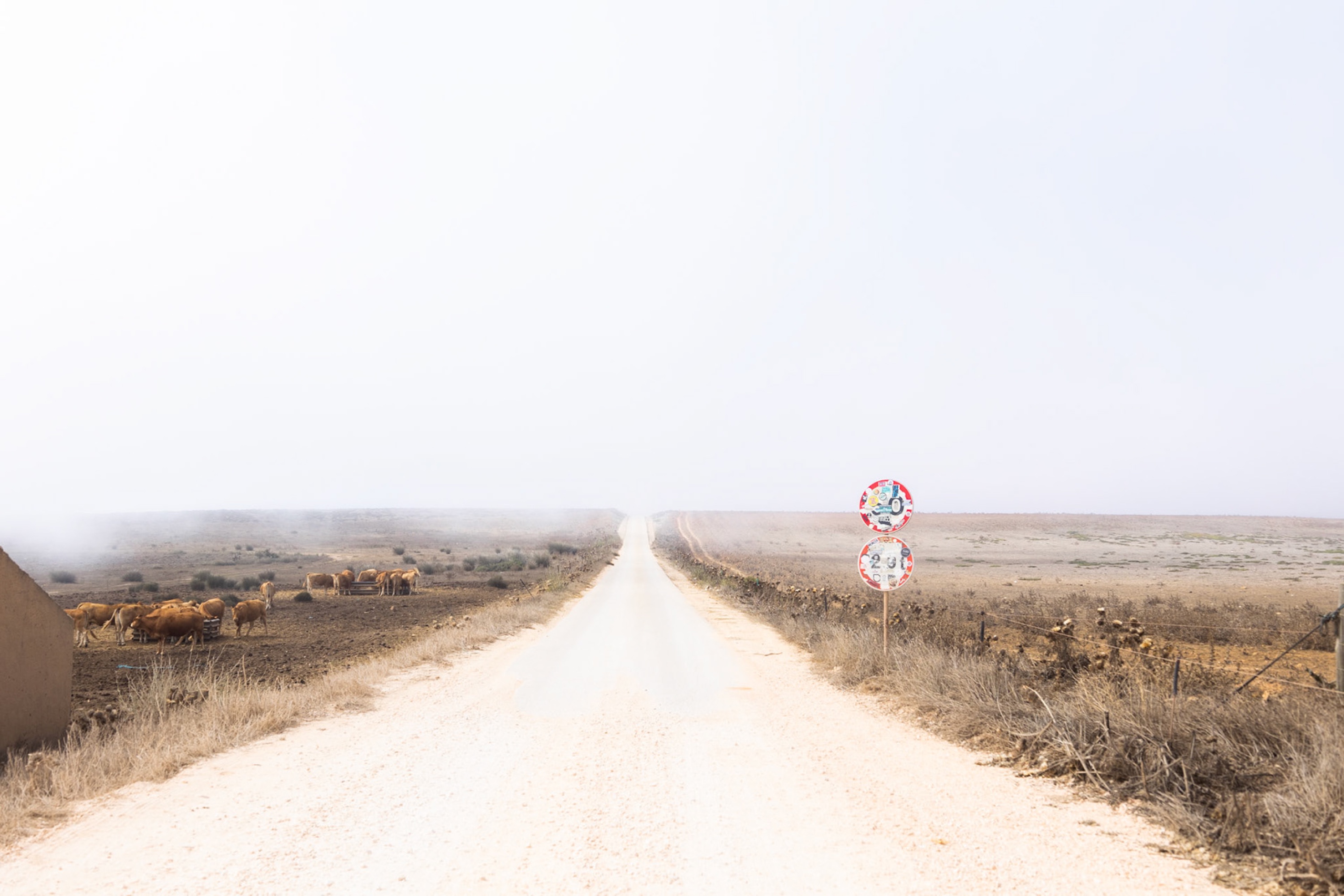 Nicola Calaprice, personal documentary photography
