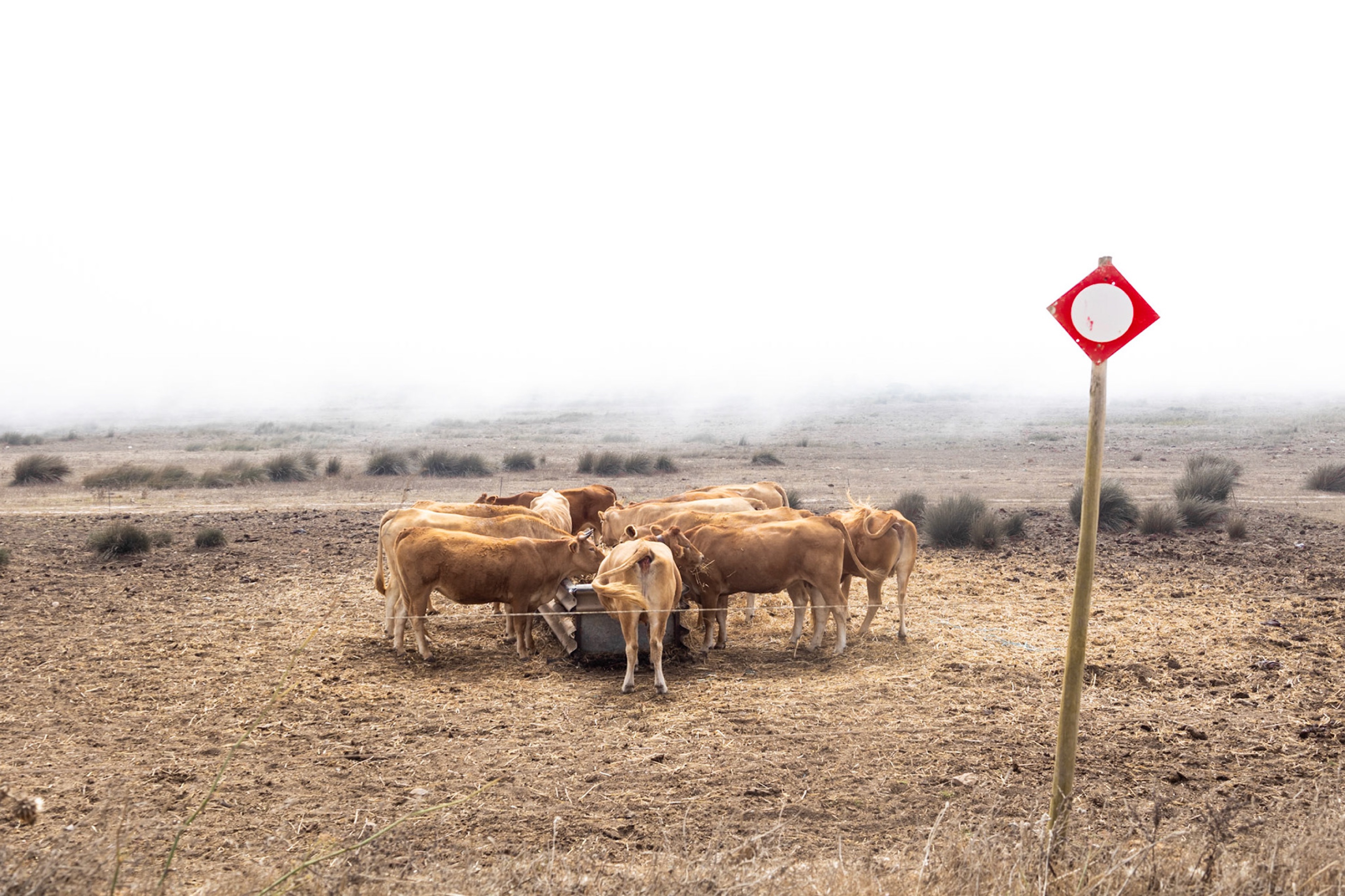 European Far West photograph 7, Nicola Calaprice