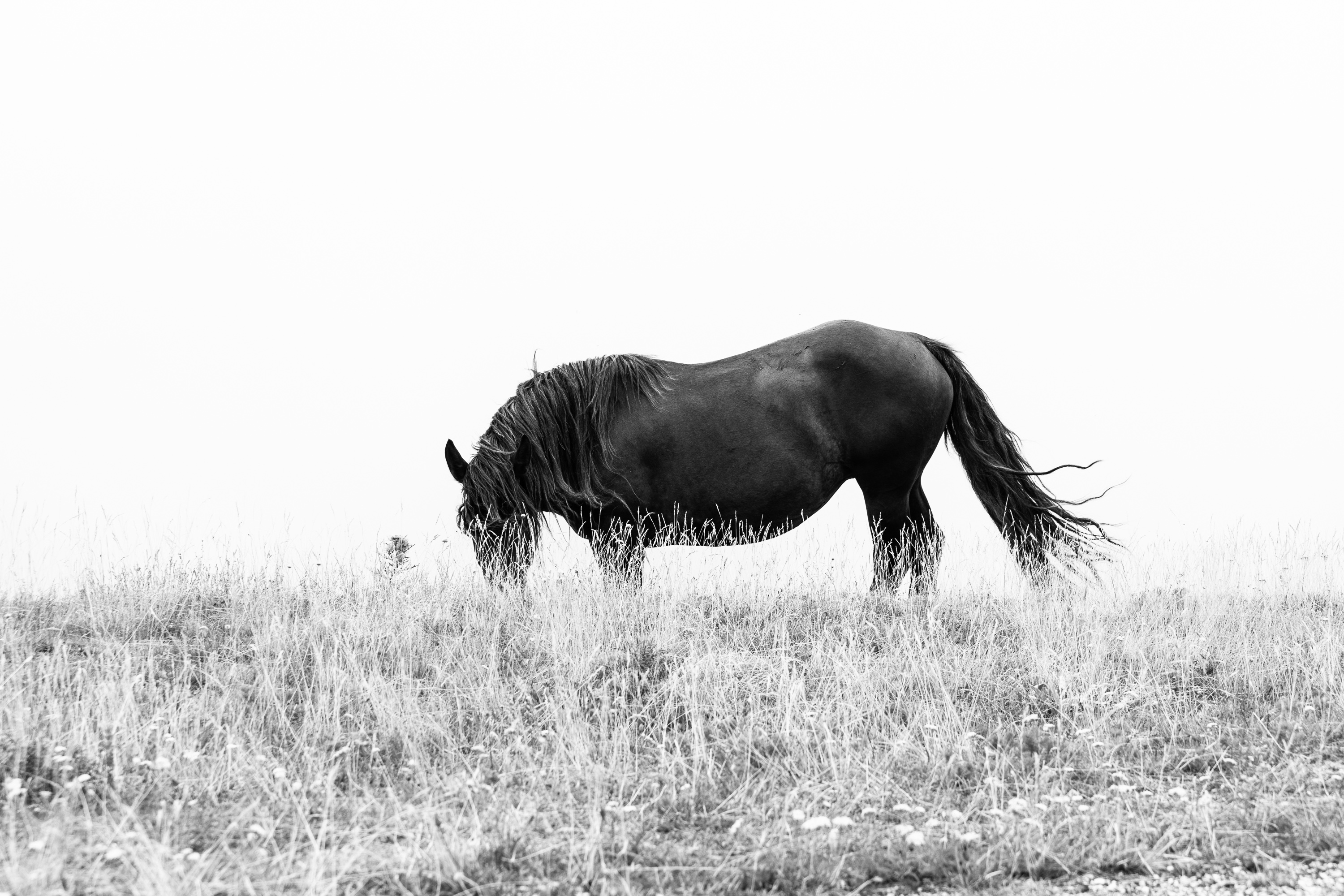 European Far West photograph 11, Nicola Calaprice
