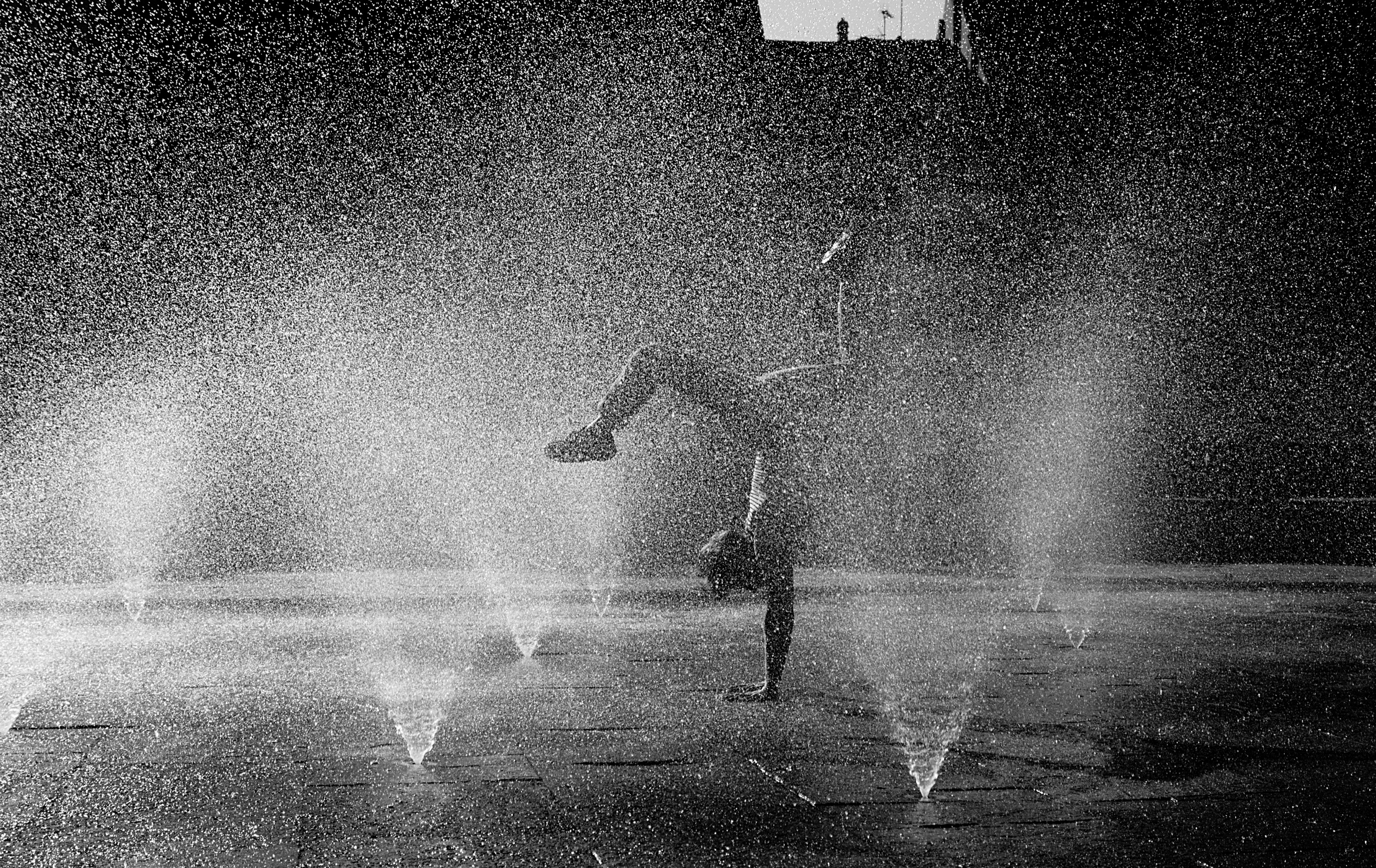 Street photograph 26, Nicola Calaprice